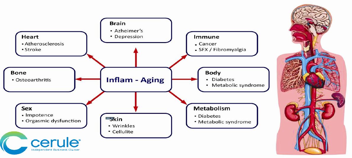 Inflammation Effects